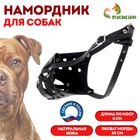 Намордник кожаный цельнокроенный питбультерьер, ДН 8 см, ОМ 30 см, чёрный - Фото 1