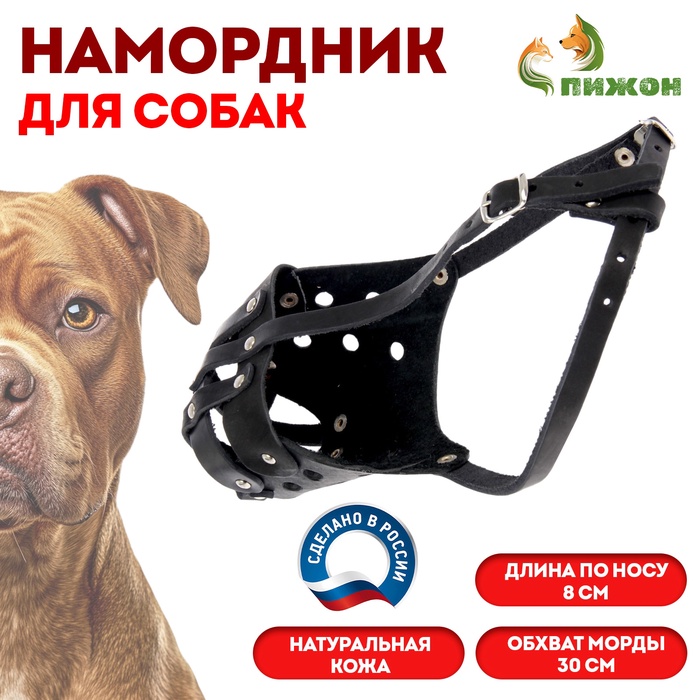 Намордник кожаный цельнокроенный питбультерьер, ДН 8 см, ОМ 30 см, чёрный - Фото 1