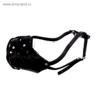 Намордник кожаный цельнокроенный питбультерьер, ДН 8 см, ОМ 30 см, чёрный - Фото 3