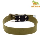 Ошейник брезентовый однослойный, 84×4.5 см, ОШ 50-70 см, хаки - Фото 2