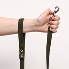 Поводок брезентовый, 1.6 м х 2.5 см - Фото 7