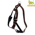 Шлейка кожаная «Караульная», 2.5 см, ОШ40-66 см, ОГ 81-100 см, чёрный - Фото 1