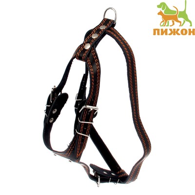 Шлейка кожаная «Караульная», 2.5 см, ОШ40-66 см, ОГ 81-100 см, чёрный