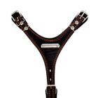 Шлейка кожаная «Караульная», 2.5 см, ОШ40-66 см, ОГ 81-100 см, чёрный - Фото 3