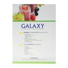 Блендер стационарный Galaxy GL 2155, 550 Вт, стеклянная чаша 1.5 л, насадка-кофемолка - фото 51331039