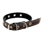 Ошейник кожаный однослойный безразмерный, 45 х 2 см, микс цветов - Фото 2