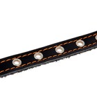 Ошейник кожаный однослойный безразмерный, 45 х 2 см, микс цветов - Фото 4