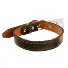 Ошейник кожаный двухслойный, 65 х 3 см, ОШ 40-55 см, микс цветов - Фото 3