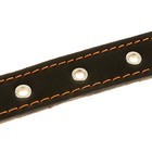 Ошейник кожаный двухслойный, 65 х 3 см, ОШ 40-55 см, микс цветов - Фото 4