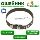 Ошейник брезентовый однослойный, 50×2 см, ОШ 25-35 см, хаки - Фото 1
