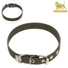 Ошейник брезентовый однослойный, 50×2 см, ОШ 25-35 см, хаки - Фото 2