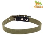 Ошейник брезентовый однослойный, 57×2.5 см, ОШ 35-45 см, хаки - Фото 1
