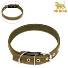Ошейник брезентовый двухслойный, 54×2.5 см, ОШ 35-45 см, хаки - Фото 2