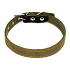 Ошейник брезентовый двухслойный, 54×2.5 см, ОШ 35-45 см, хаки - Фото 3