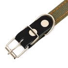 Ошейник брезентовый двухслойный, 54×2.5 см, ОШ 35-45 см, хаки - Фото 5