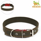Ошейник брезентовый двухслойный, 72×3.5 см, ОШ 45-60 см, хаки - Фото 2