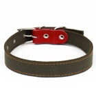 Ошейник брезентовый двухслойный, 72×3.5 см, ОШ 45-60 см, хаки - Фото 3