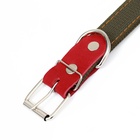 Ошейник брезентовый двухслойный, 72×3.5 см, ОШ 45-60 см, хаки - Фото 6