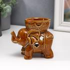 Аромалампа для эфирных масел «Слоненок», керамика, глянец, 9×9.5×6 см, МИКС - Фото 3