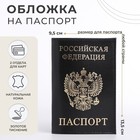 Обложка для паспорта, цвет чёрный - фото 8289862