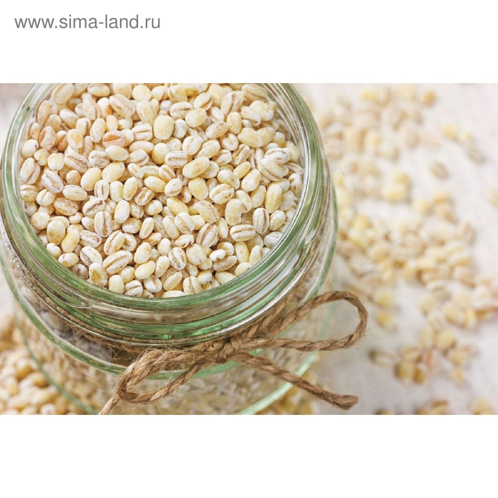 Растение перловка как выглядит Растение перловка как выглядит