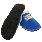 Обувь домашняя мужская "Самый любимый", размер 42/43 - Фото 4