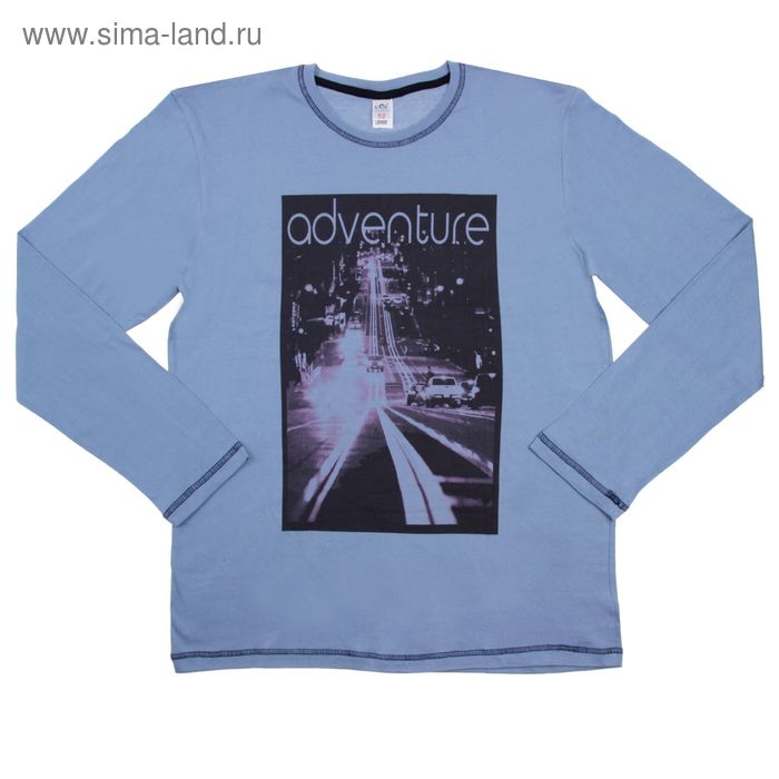 Футболка мужская с длинными рукавами, цвет серый, размер 50 - Фото 1