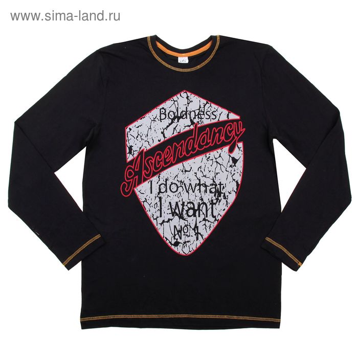 Футболка мужская с длинными рукавами, цвет чёрный, размер 50 - Фото 1