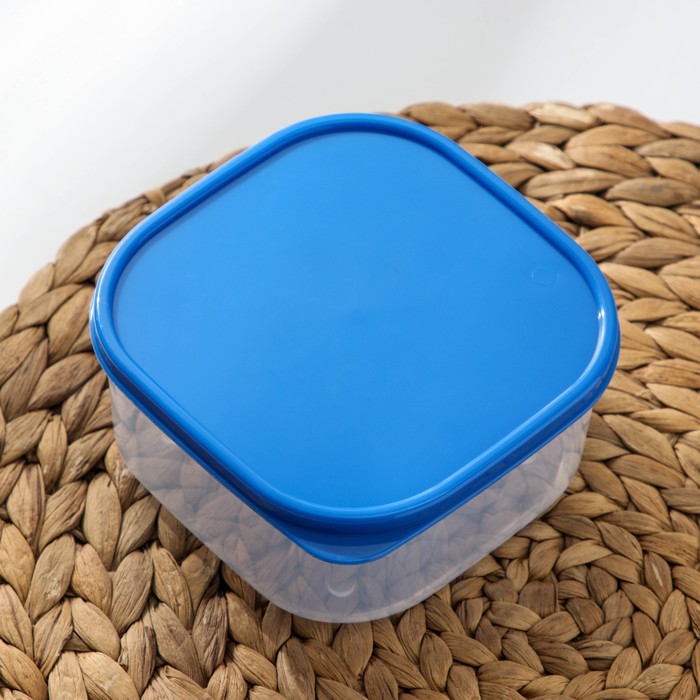 Набор контейнеров пищевых Доляна, квадратных, 2 шт: 450 мл, 700 мл, цвет голубой - фото 1909754739