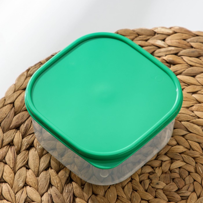 Набор контейнеров пищевых Доляна, квадратных, 2 шт: 450 мл, 700 мл, цвет зелёный - фото 1895073899