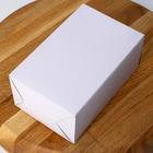 Зубочистки в индивидуальной полиэтиленовой упаковке Доляна, 1000 шт. - Фото 3