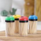 Зубочистки Доляна, 140-150 шт., в пластиковой баночке, МИКС - Фото 1