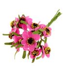 Декор для творчества "Эхинопсис" (1набор= 1букету) в букете 10 цветков МИКС 2х13 см - Фото 1