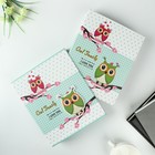 Фотоальбом 80 фото 10х15 см "Совята" в коробке, МИКС 19х23х5 см - Фото 2