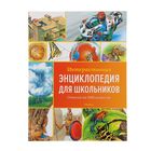 Интерактивная энциклопедия для школьников. Ответы на 1000 вопросов - Фото 1