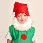 Карнавальный костюм «Гном», 5-7 лет, рост 122-134 см - Фото 3