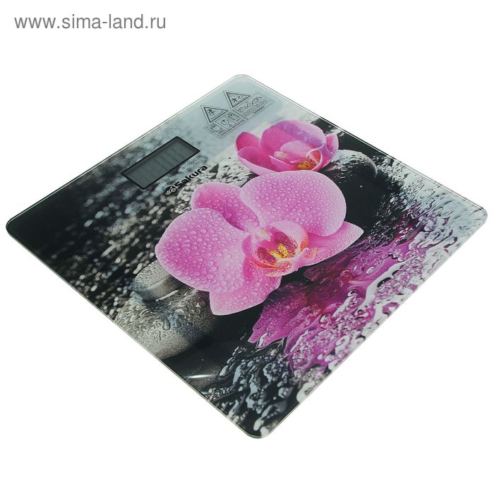 Весы напольные Sakura SA-5072F, электронные, до 150 кг - Фото 1