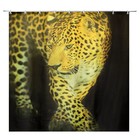 Штора для ванны Доляна «Леопард», 180×180 см, полиэстер - Фото 2