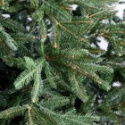 Искусственная ёлка литая «Альпийская», 210 см, d нижнего яруса 120 см, 634 ветки отгибаются - Фото 3