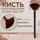 Кисть для макияжа, веерная, 16,5 (+/- 1) см, цвет чёрный - Фото 1
