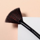 Кисть для макияжа, веерная, 16,5 (+/- 1) см, цвет чёрный - Фото 4