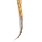 Краска - спрей для волос, 250 мл, цвет серебряный - Фото 6