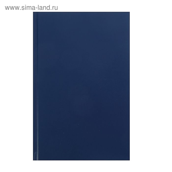 Ежедневник недатированный А5, 160 листов, Синий, обложка бумвинил - Фото 1