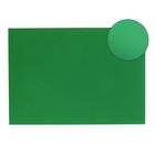 Картон цветной Sadipal Sirio, 420 х 297 мм,1 лист, 170 г/м2, зелёный, цена за 1 лист - Фото 1