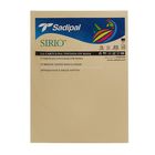Картон цветной Sadipal Sirio, 420 х 297 мм,1 лист, 170 г/м2, ваниль, цена за 1 лист - Фото 3