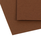 Картон цветной Sadipal Sirio, 210 х 297 мм,1 лист, 170 г/м2, коричневый, цена за 1 лист - Фото 3