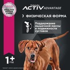 Сухой корм EUK Dog для взрослых собак крупных пород, 15 кг. - Фото 3