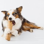 Игрушка Petstages Dogwood для собак,  палочка деревянная, большая - Фото 3