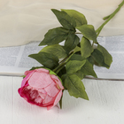 Цветы искусственные "Крупный пион" 9х70 см, розовый - фото 5953356