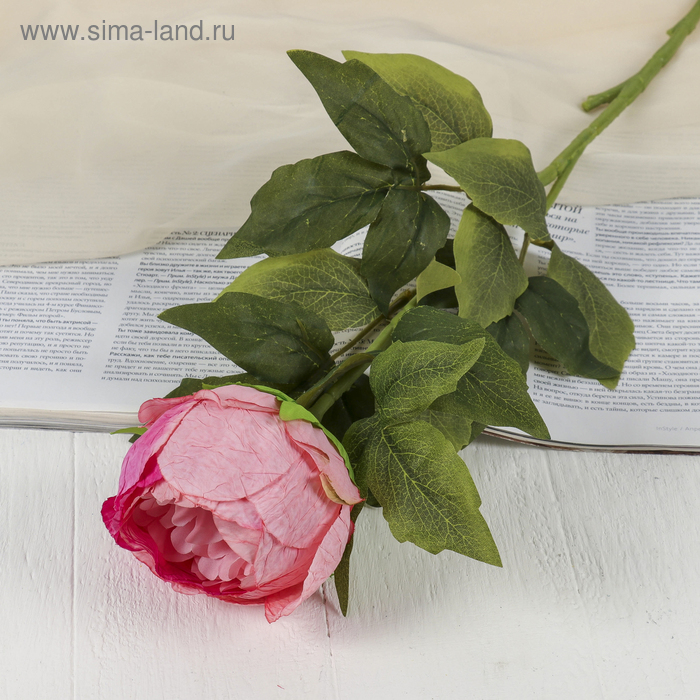 Цветы искусственные "Крупный пион" 9х70 см, розовый - Фото 1